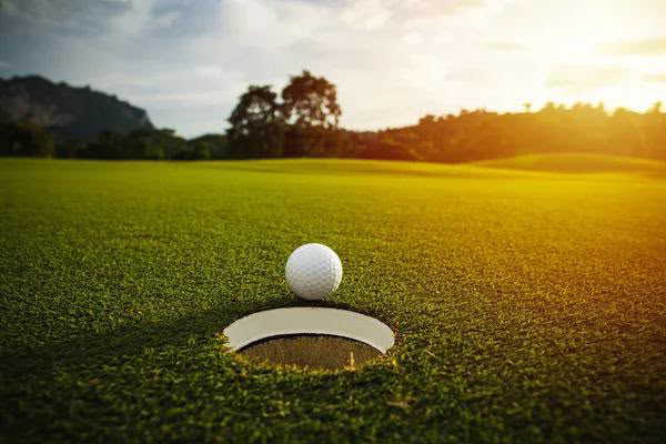 GolfSwipe app — bi-weekly rules quiz and leaderboards